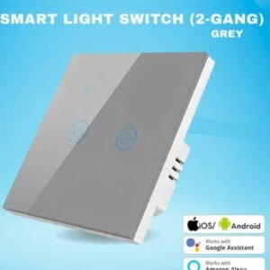 مفتاح إضاءة حائط ذكي بخاصية واي فاي (2 مفتاح، لون رمادي) - Smart Home